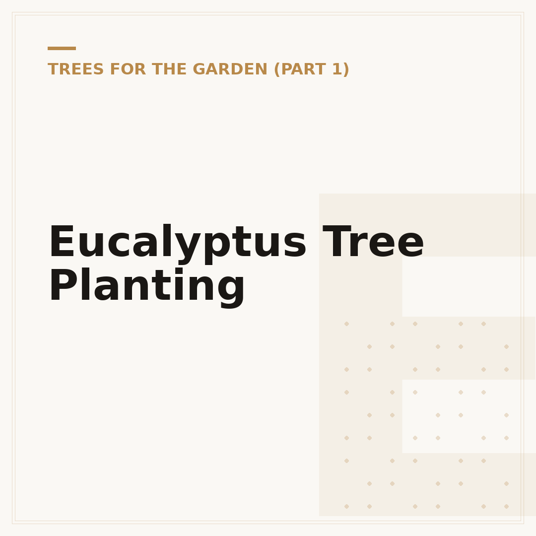 Eucalyptus Tree Planting