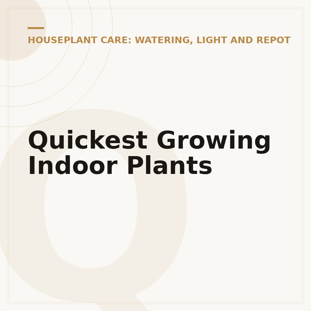 Quickest Growing Indoor Plants