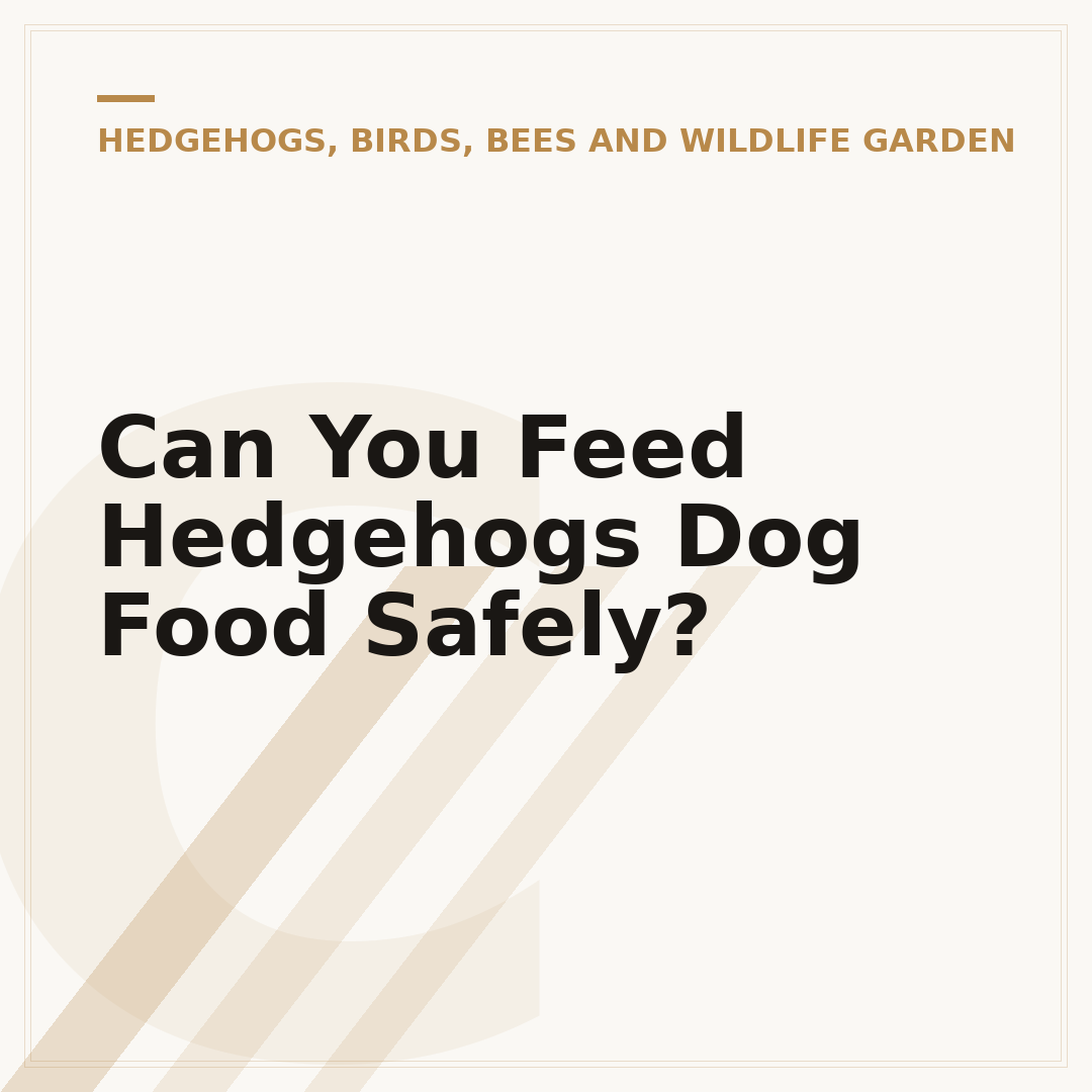 Can You Feed Hedgehogs Dog Food Safely?
