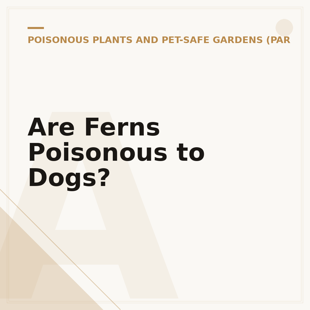 Are Ferns Poisonous to Dogs?