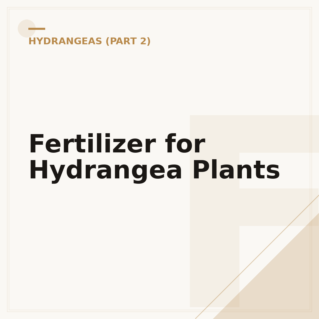 Fertilizer for Hydrangea Plants