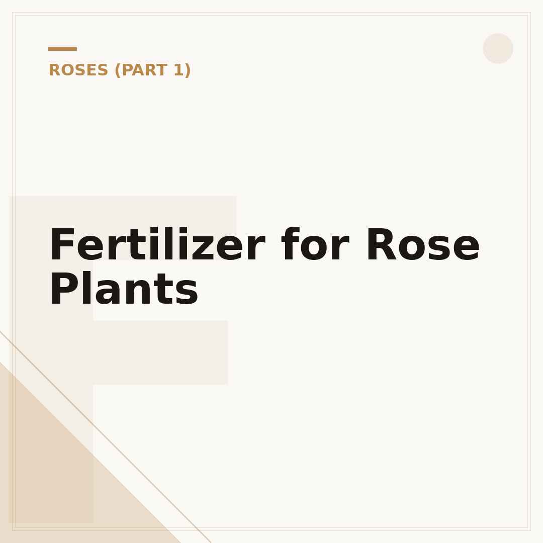 Fertilizer for Rose Plants