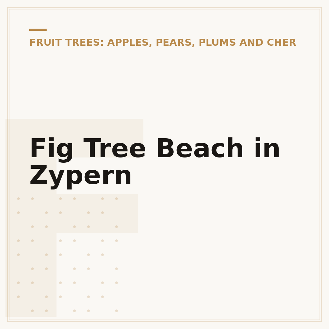 Fig Tree Beach in Zypern
