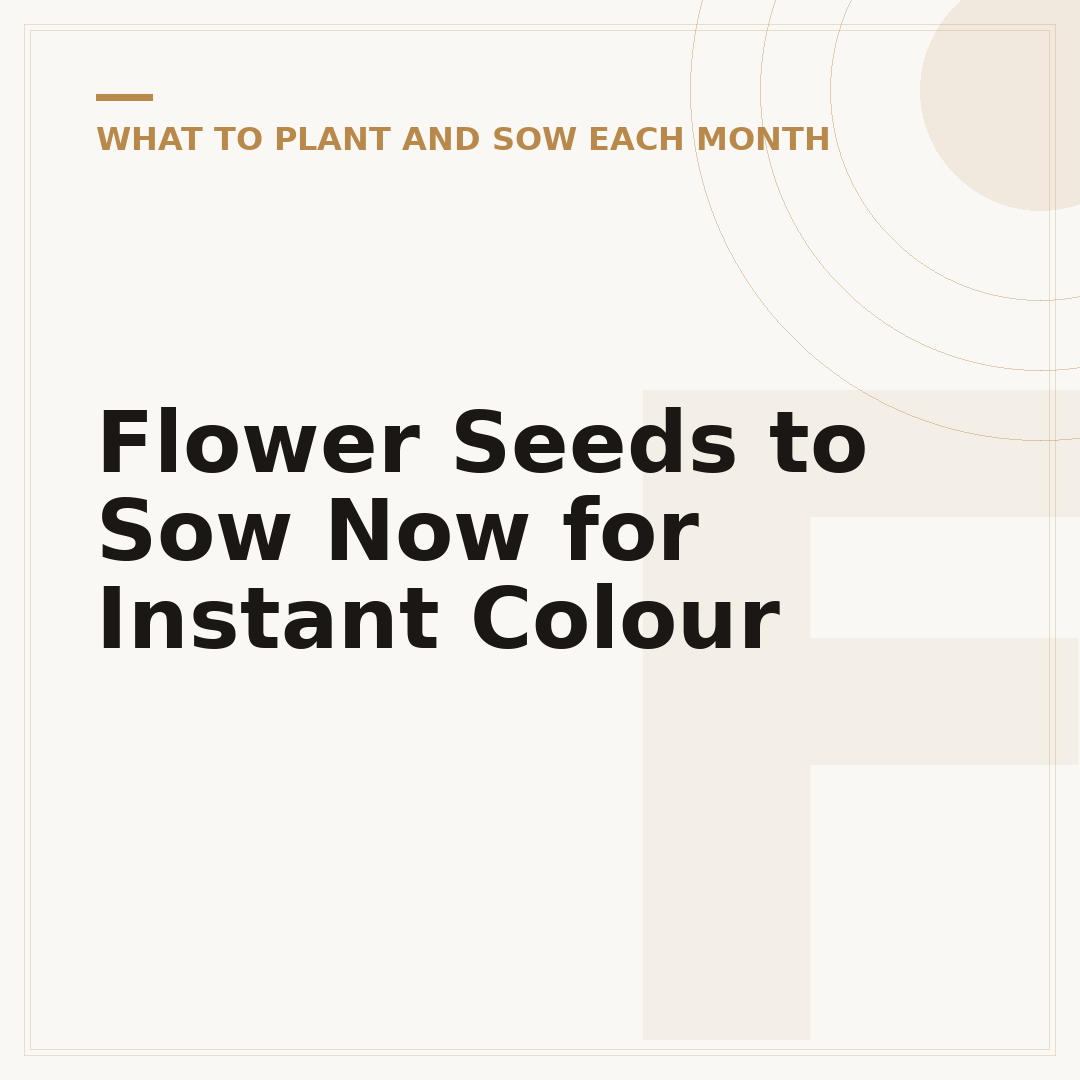 Flower Seeds to Sow Now for Instant Colour