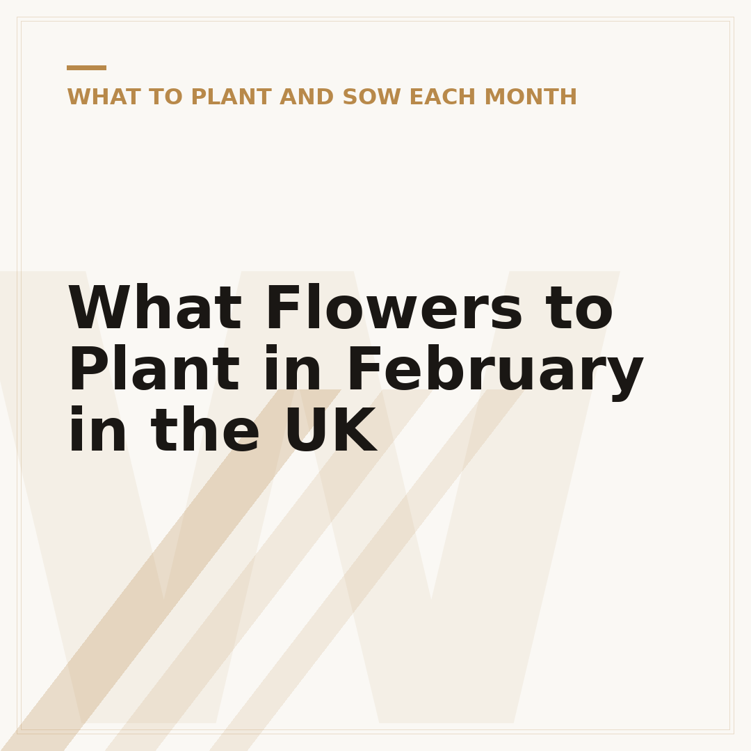 What Flowers to Plant in February in the UK