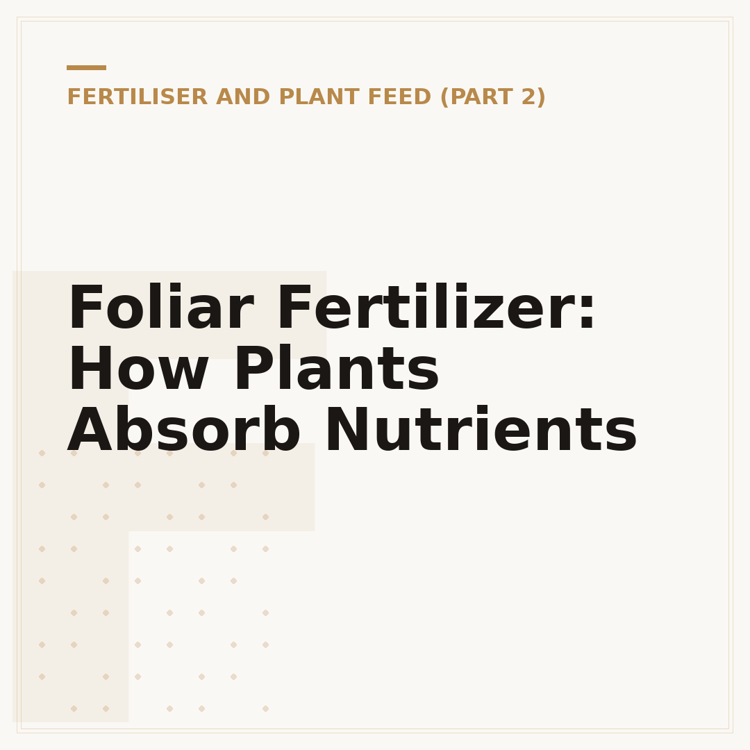 Foliar Fertilizer: How Plants Absorb Nutrients