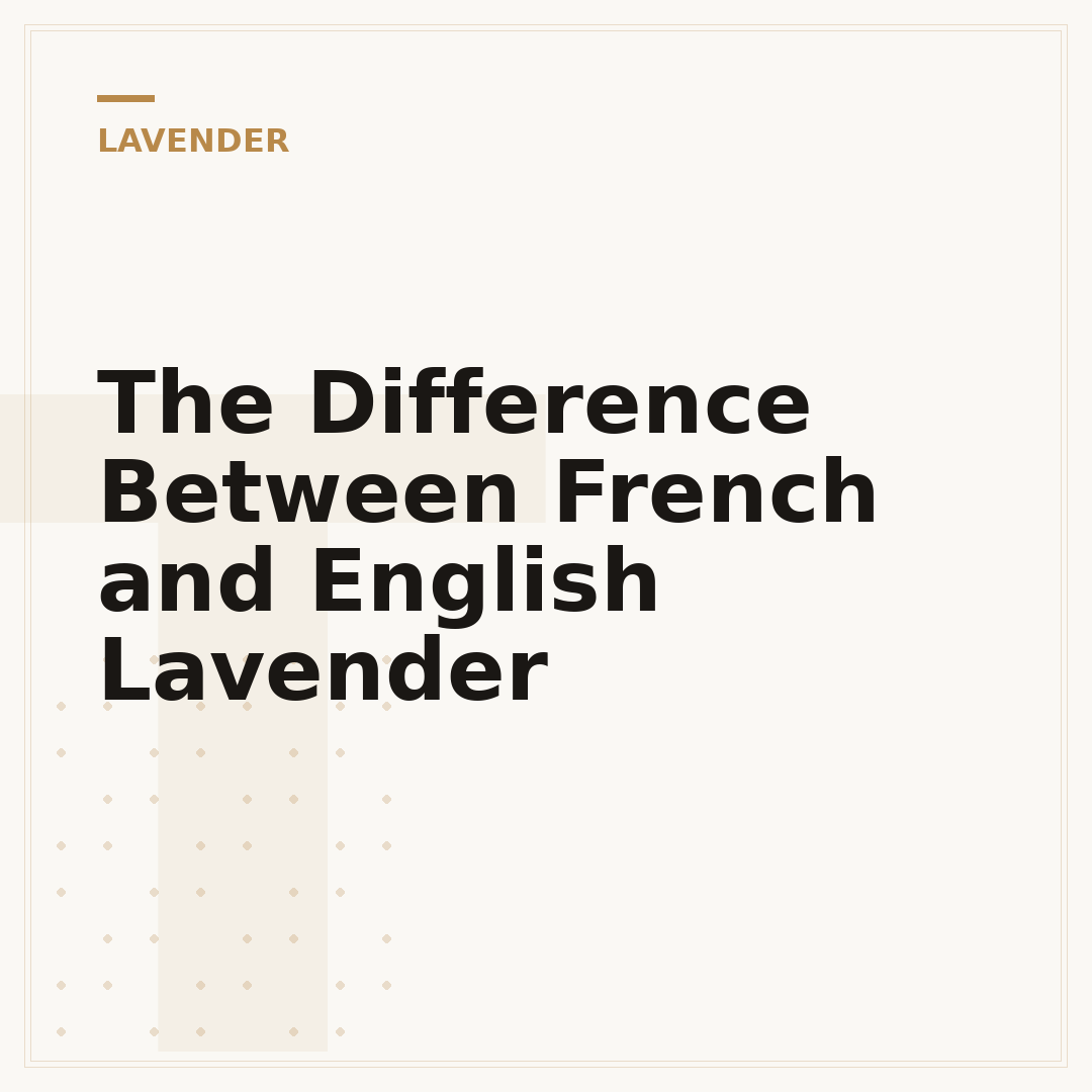The Difference Between French and English Lavender