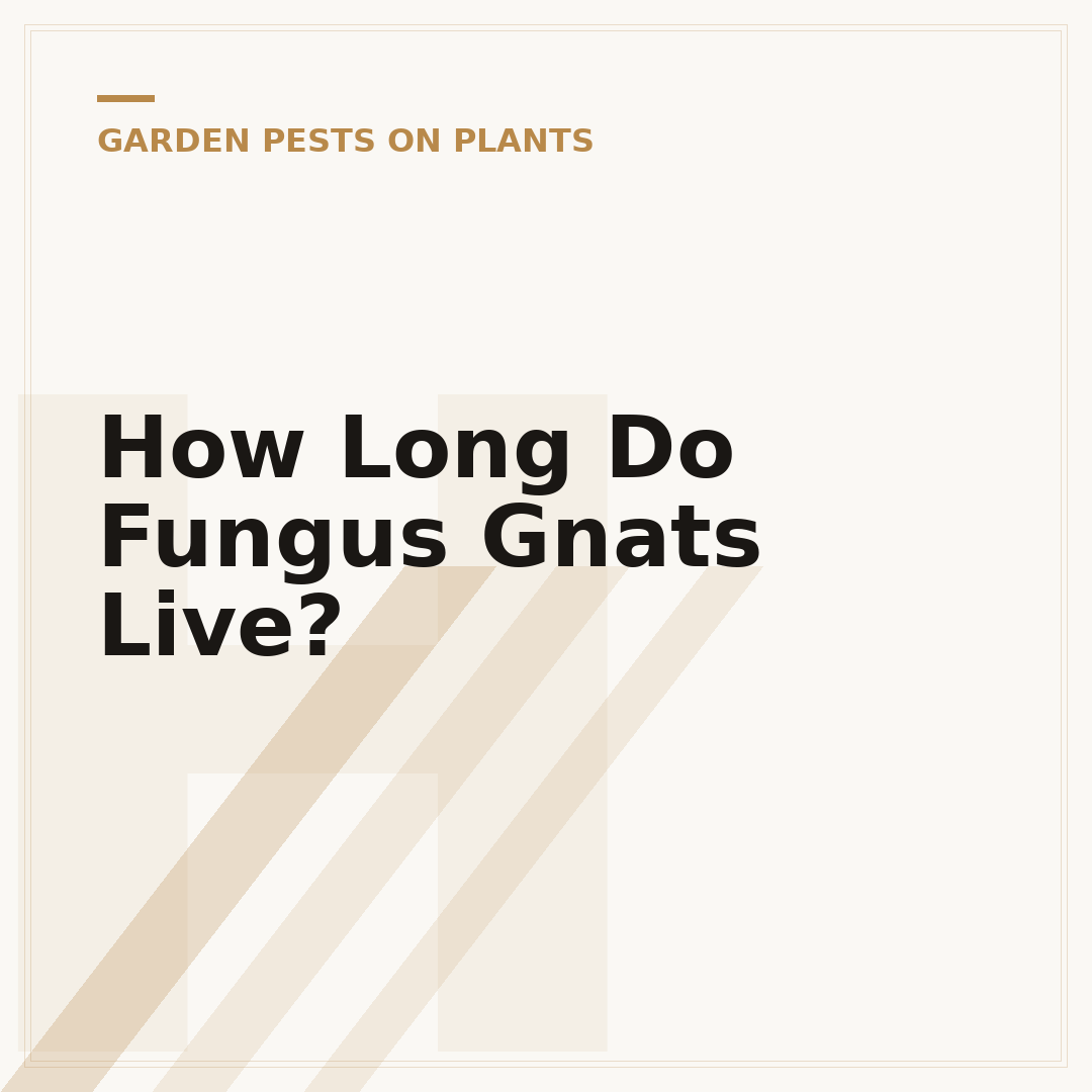 How Long Do Fungus Gnats Live?