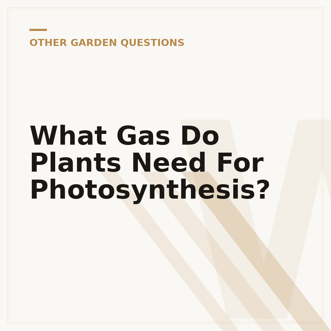 What Gas Do Plants Need For Photosynthesis?