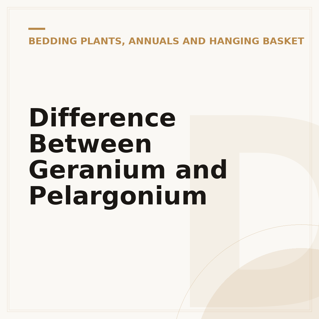 Difference Between Geranium and Pelargonium