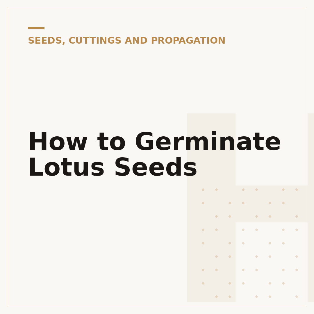 How to Germinate Lotus Seeds