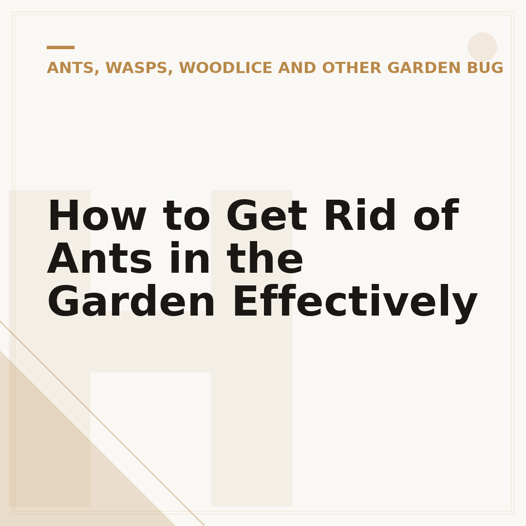 How to Get Rid of Ants in the Garden Effectively