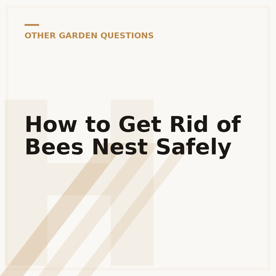 How to Get Rid of Bees Nest Safely