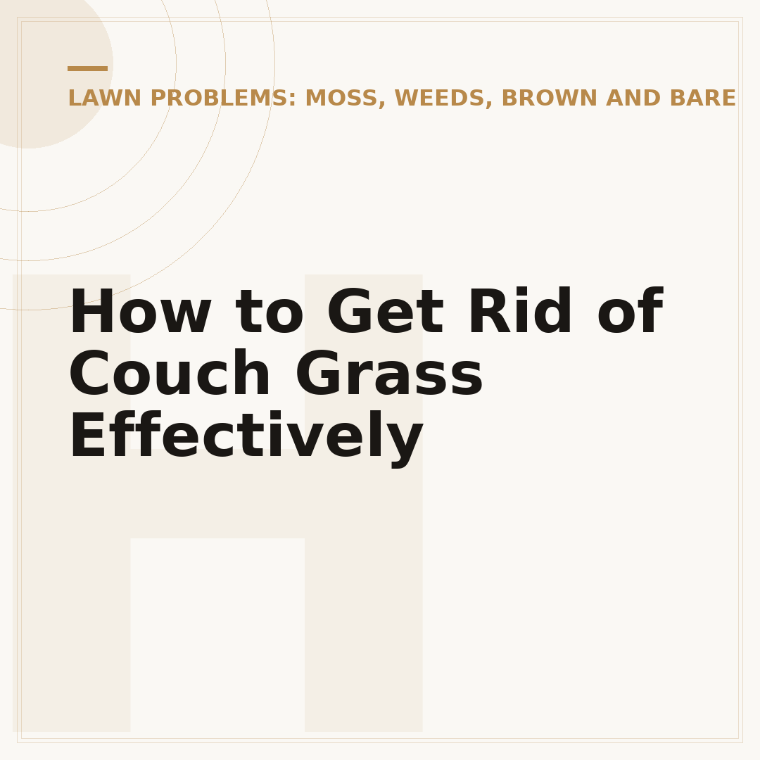 How to Get Rid of Couch Grass Effectively