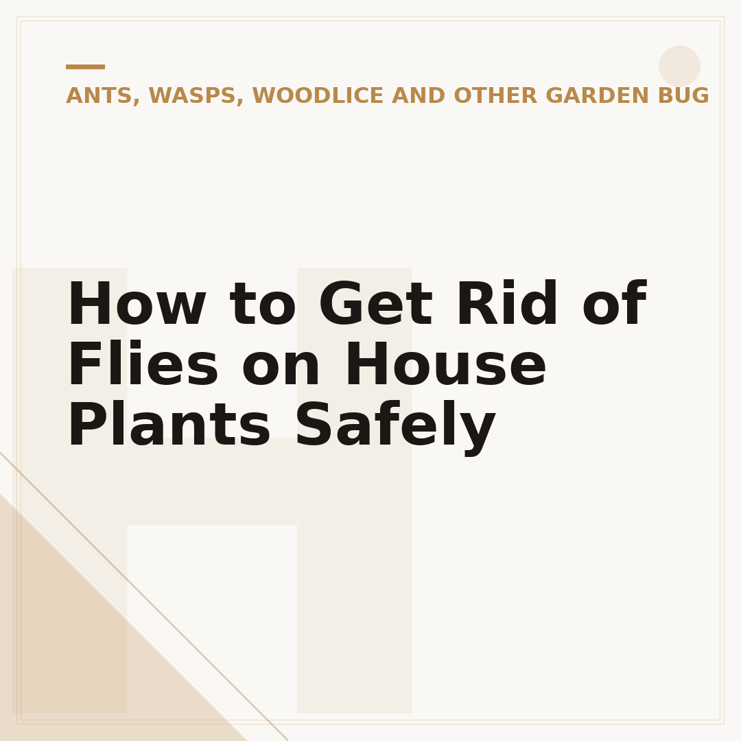 How to Get Rid of Flies on House Plants Safely