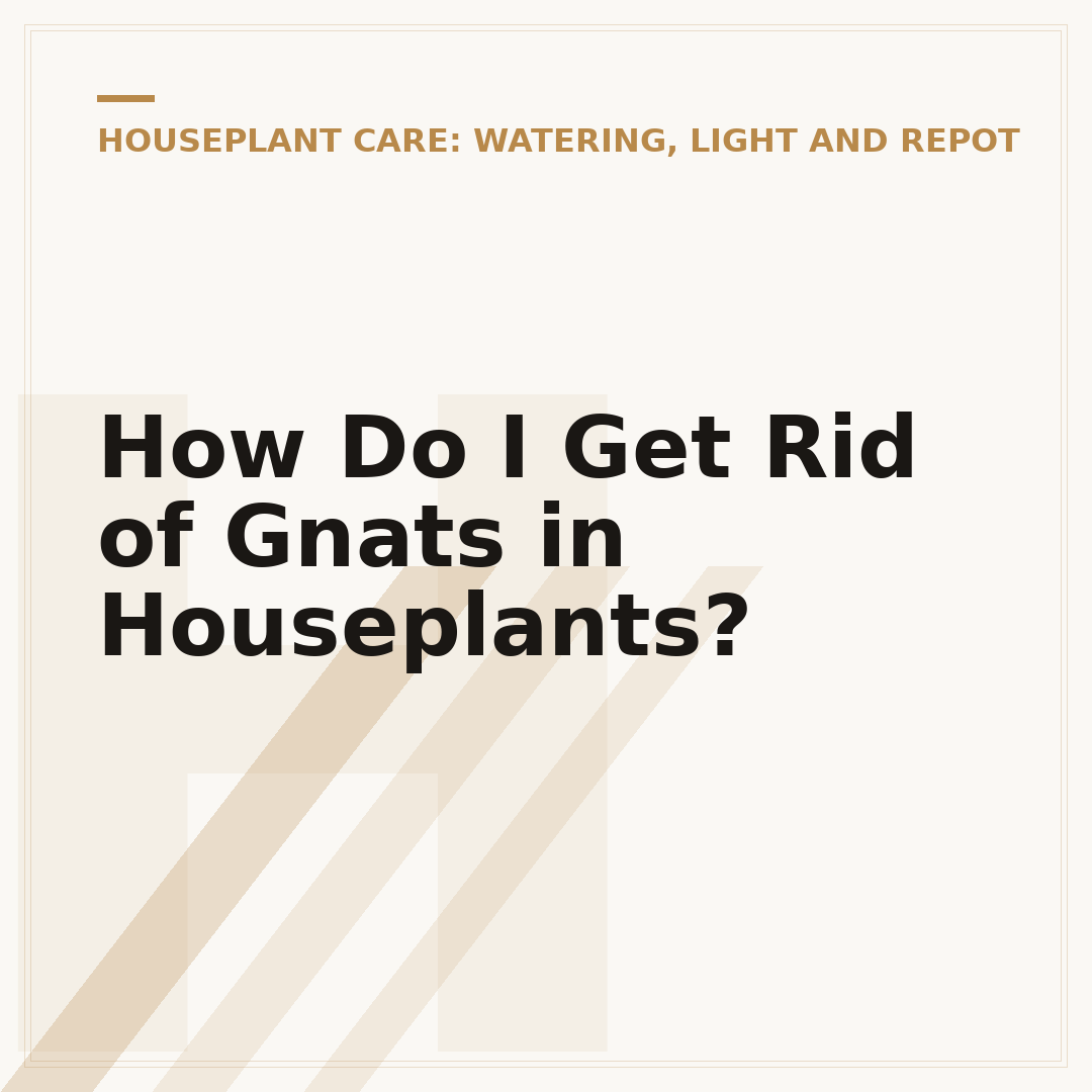 How Do I Get Rid of Gnats in Houseplants?