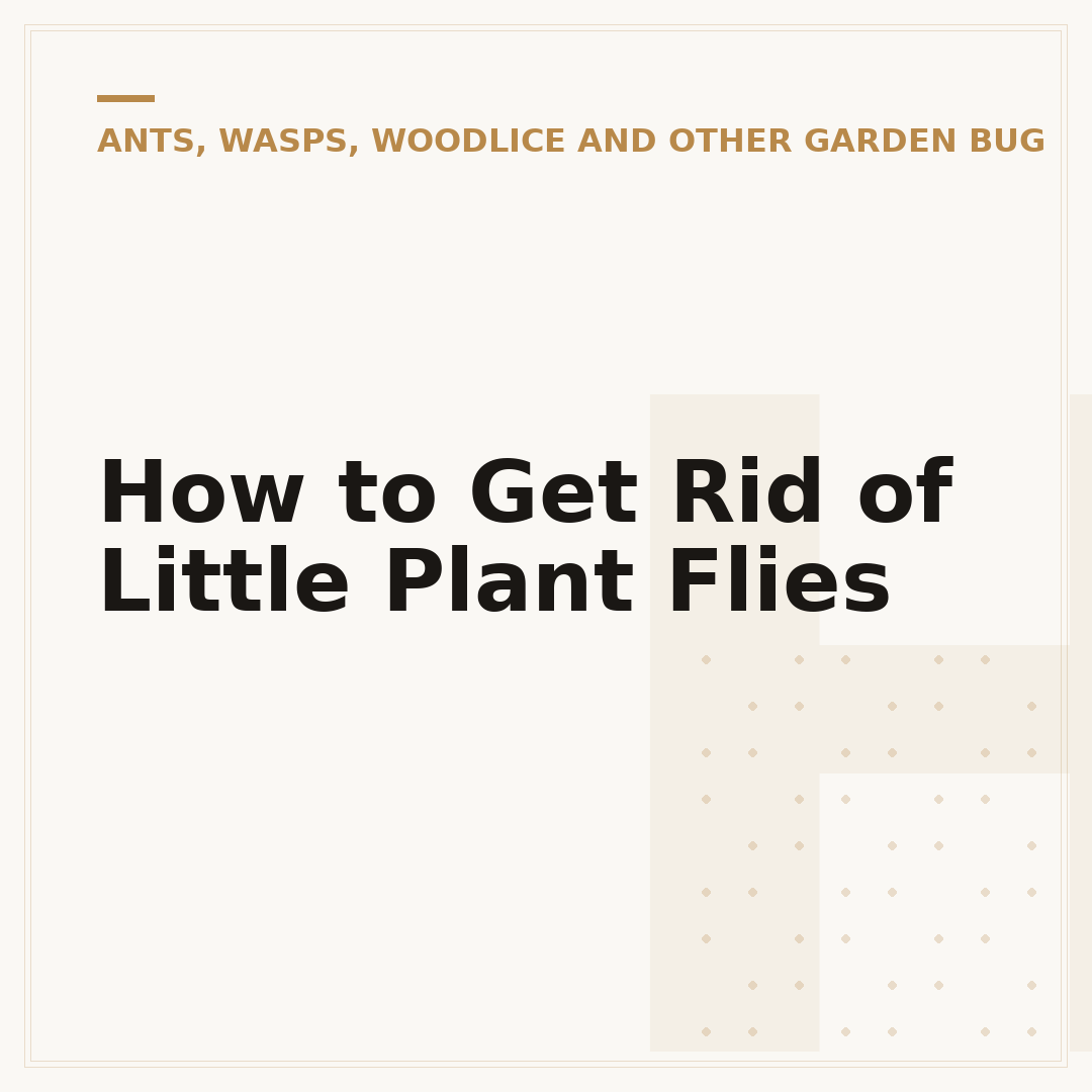 How to Get Rid of Little Plant Flies
