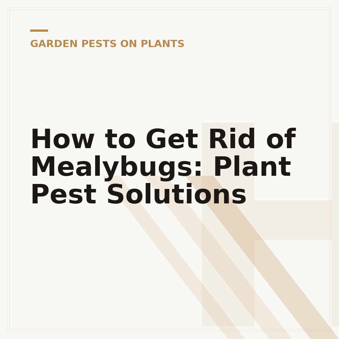 How to Get Rid of Mealybugs: Plant Pest Solutions