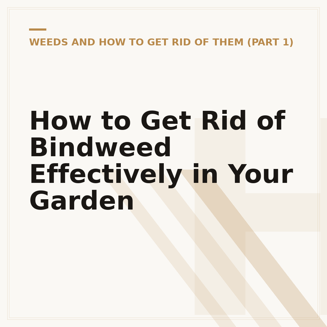 How to Get Rid of Bindweed Effectively in Your Garden