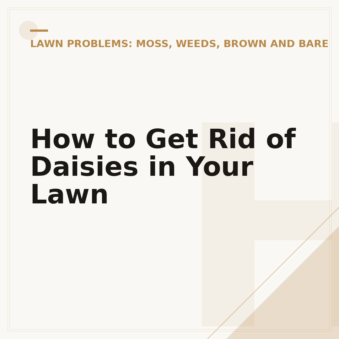 How to Get Rid of Daisies in Your Lawn