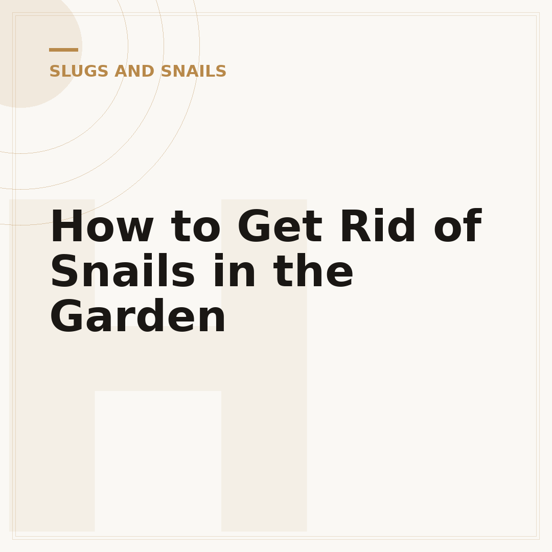 How to Get Rid of Snails in the Garden