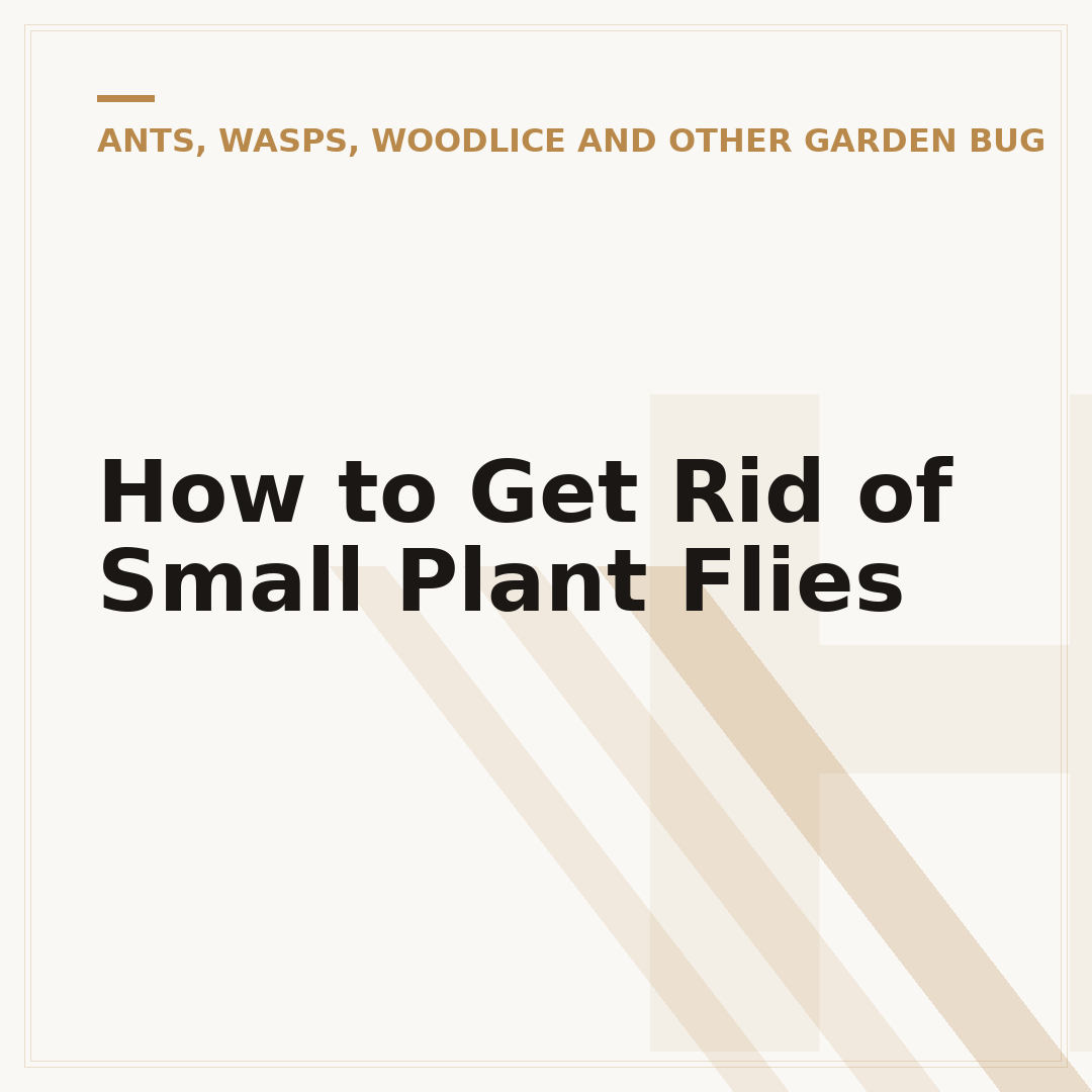 How to Get Rid of Small Plant Flies