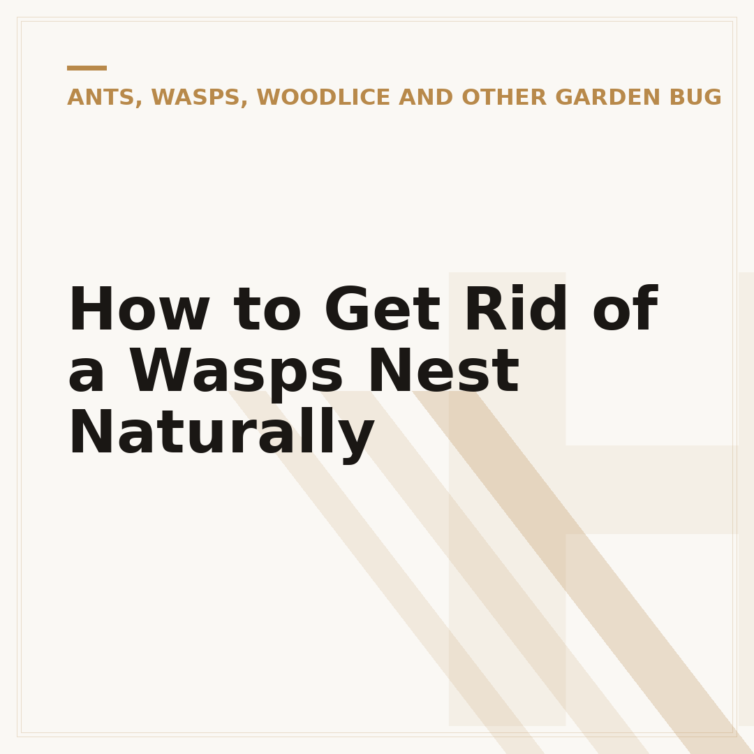 How to Get Rid of a Wasps Nest Naturally