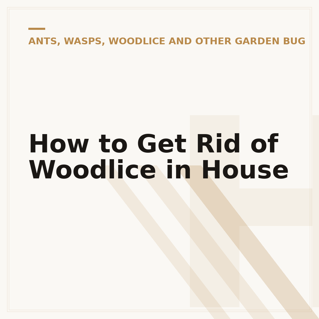 How to Get Rid of Woodlice in House