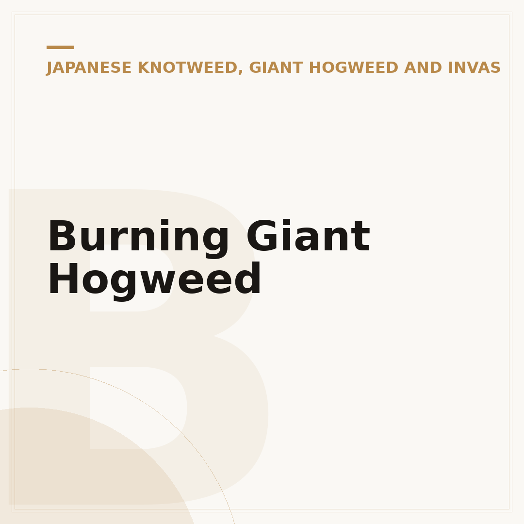 Burning Giant Hogweed