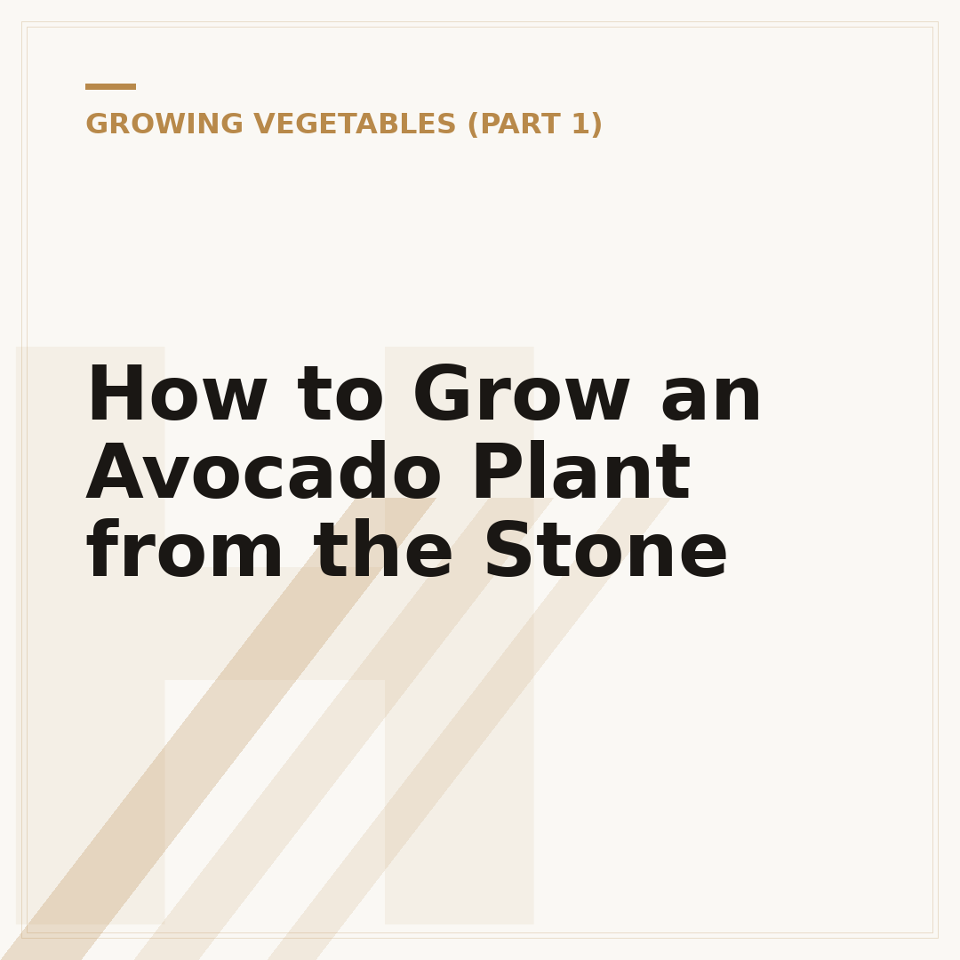 How to Grow an Avocado Plant from the Stone