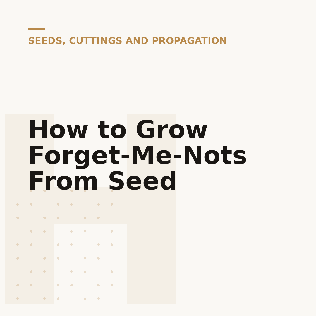 How to Grow Forget-Me-Nots From Seed