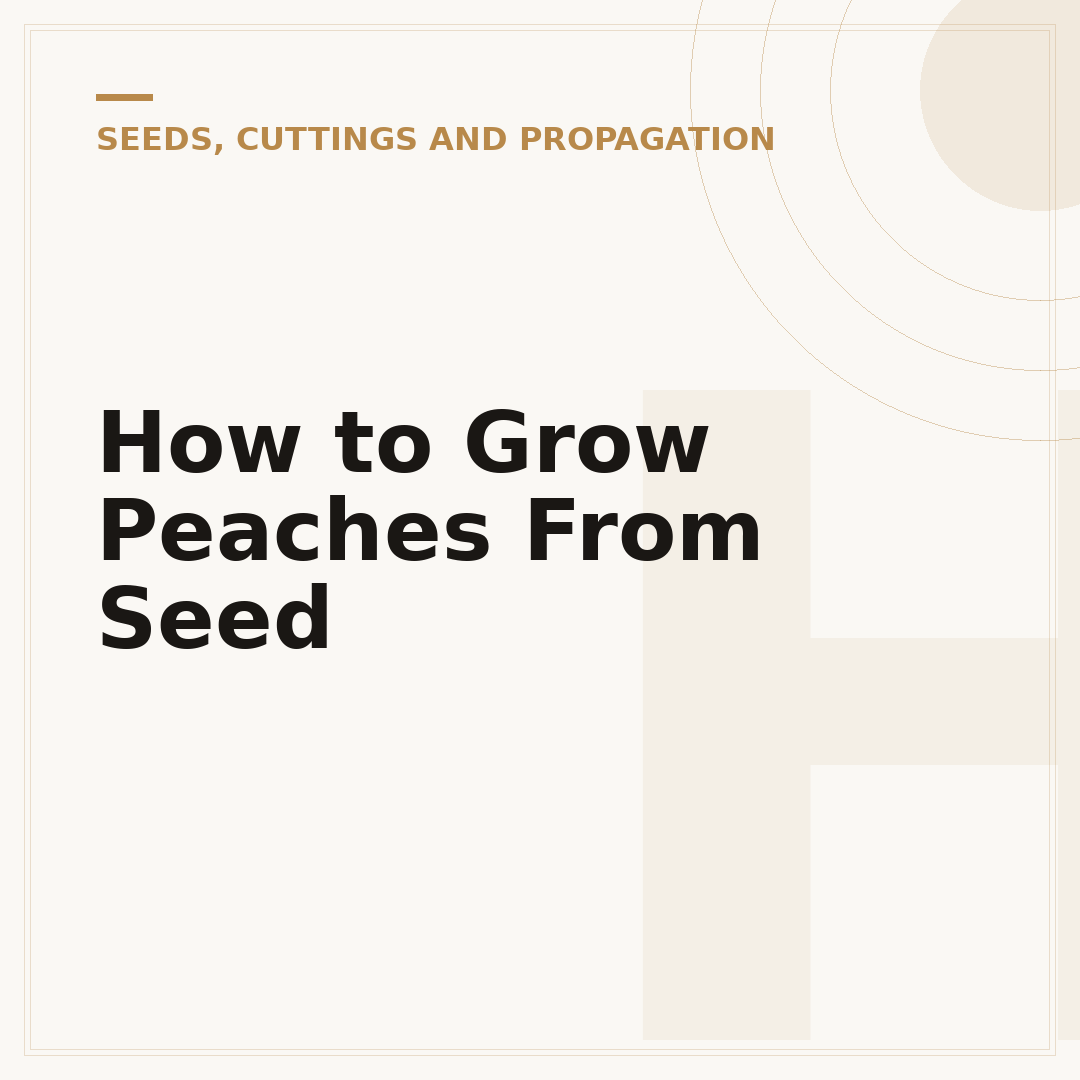 How to Grow Peaches From Seed