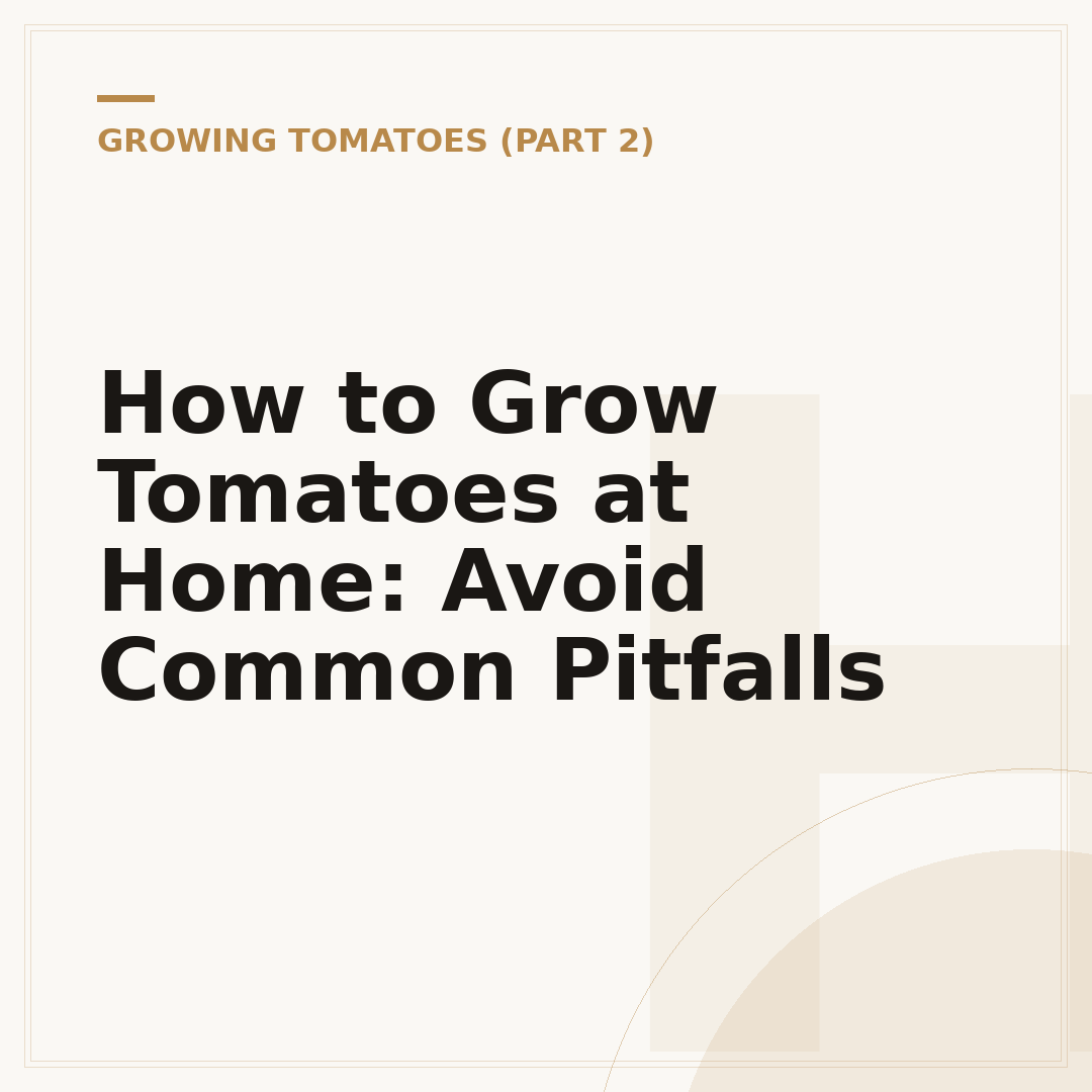How to Grow Tomatoes at Home: Avoid Common Pitfalls