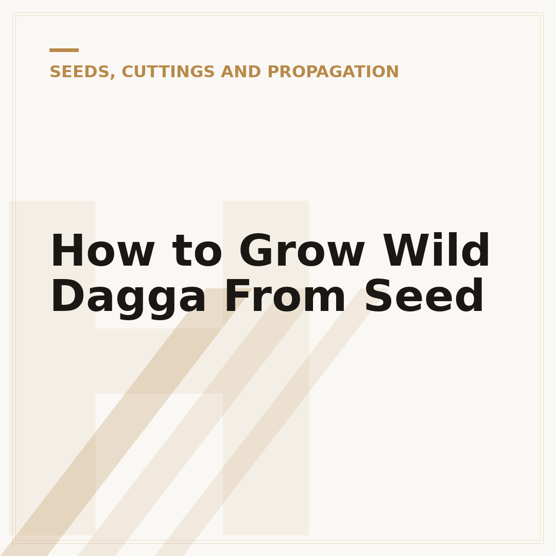 How to Grow Wild Dagga From Seed