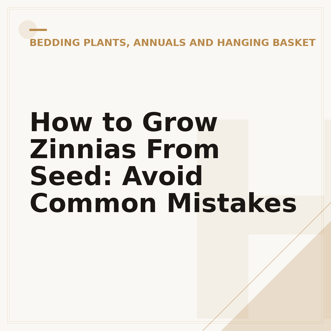 How to Grow Zinnias From Seed: Avoid Common Mistakes