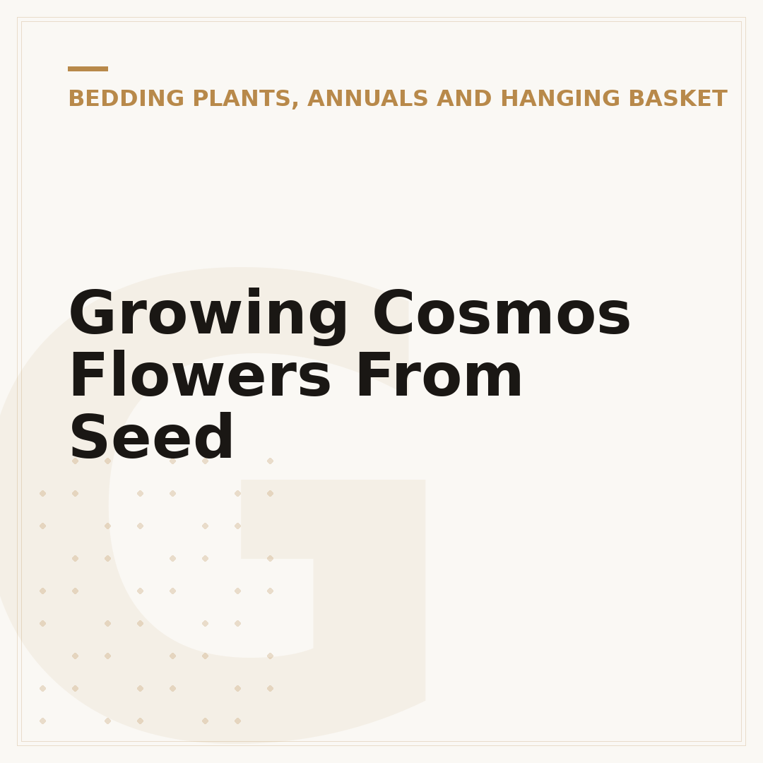 Growing Cosmos Flowers From Seed