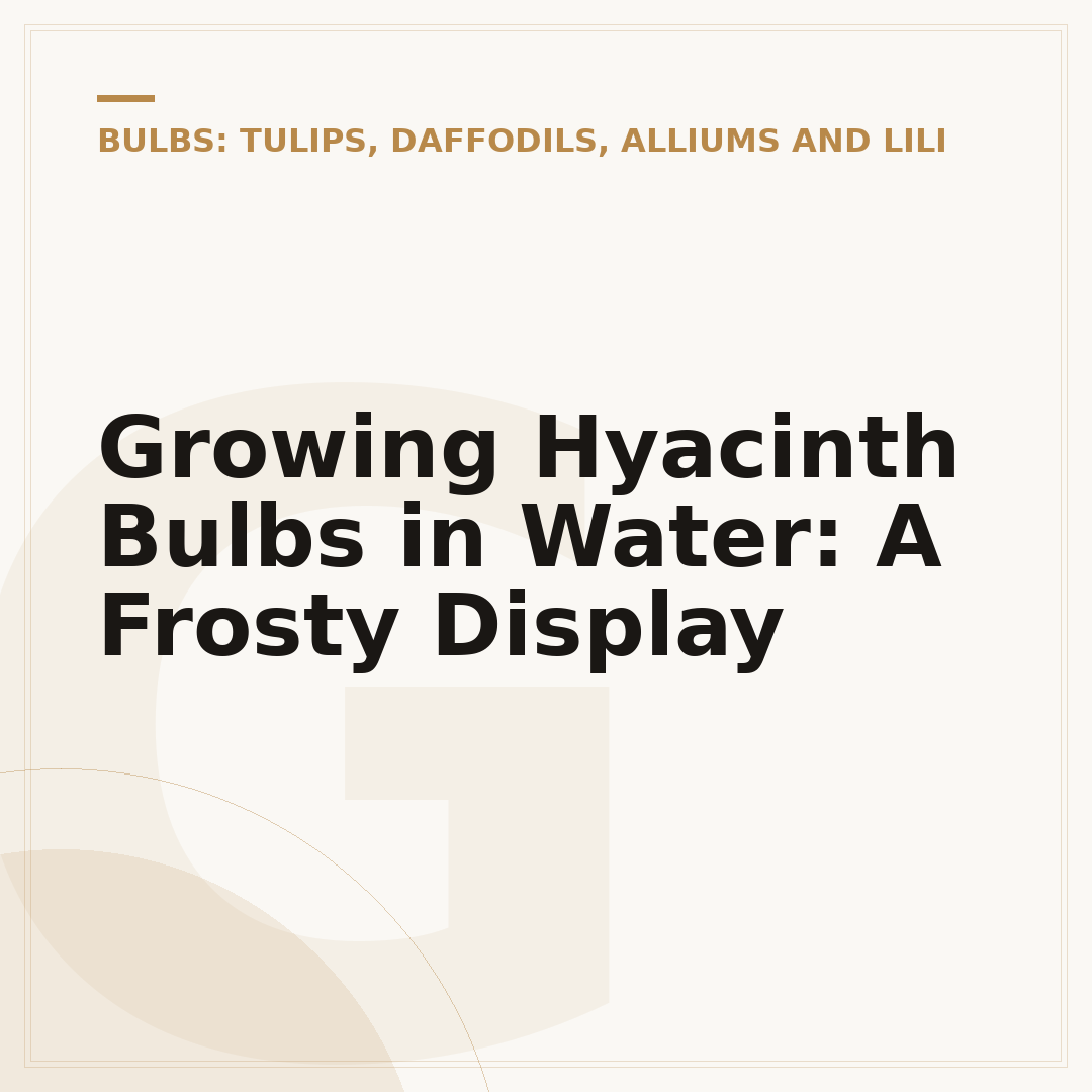 Growing Hyacinth Bulbs in Water: A Frosty Display