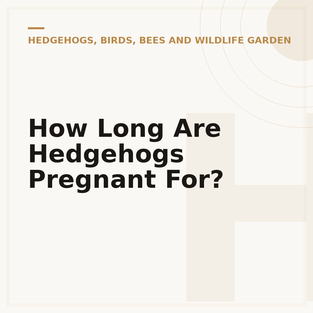 How Long Are Hedgehogs Pregnant For?