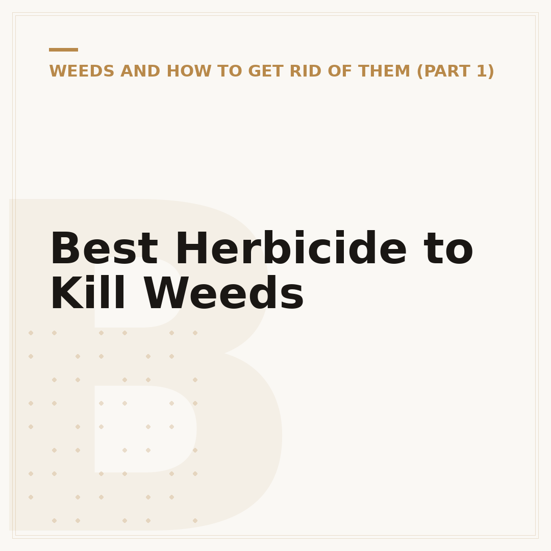 Best Herbicide to Kill Weeds
