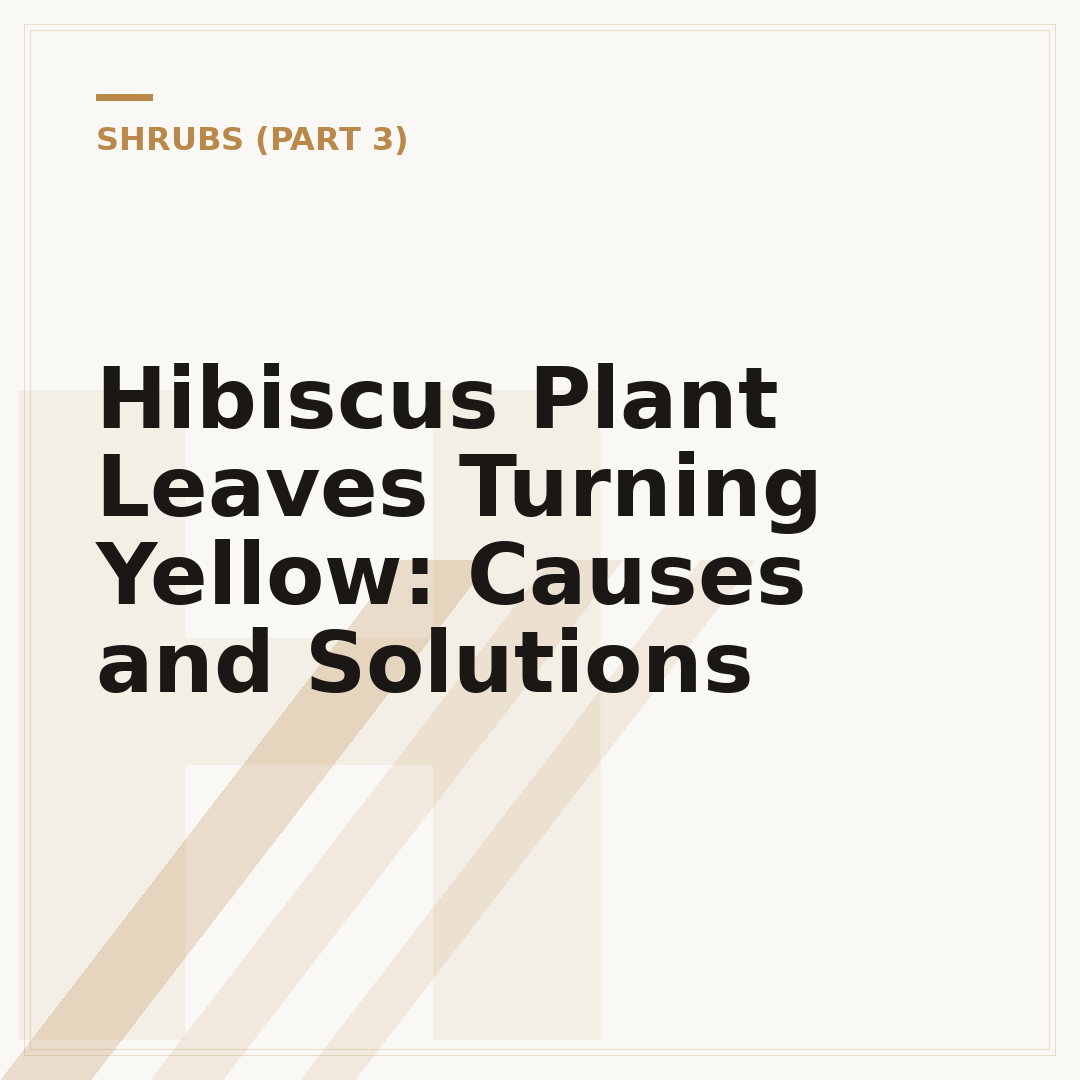 Hibiscus Plant Leaves Turning Yellow: Causes and Solutions