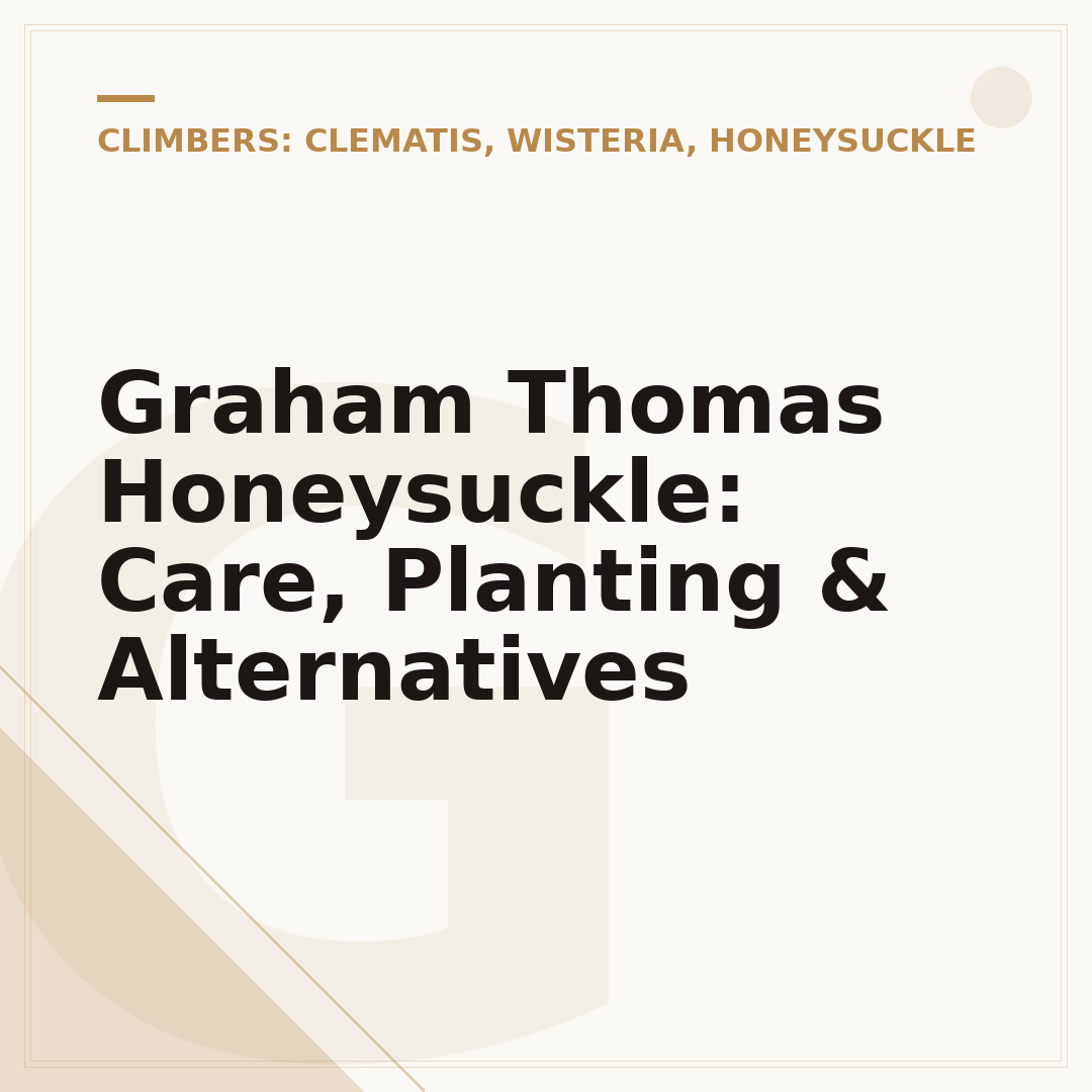 Graham Thomas Honeysuckle: Care, Planting & Alternatives