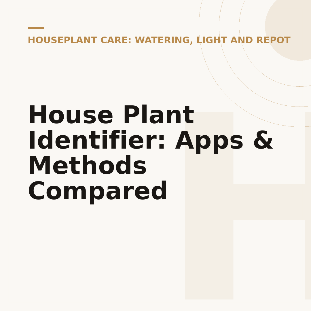 House Plant Identifier: Apps & Methods Compared