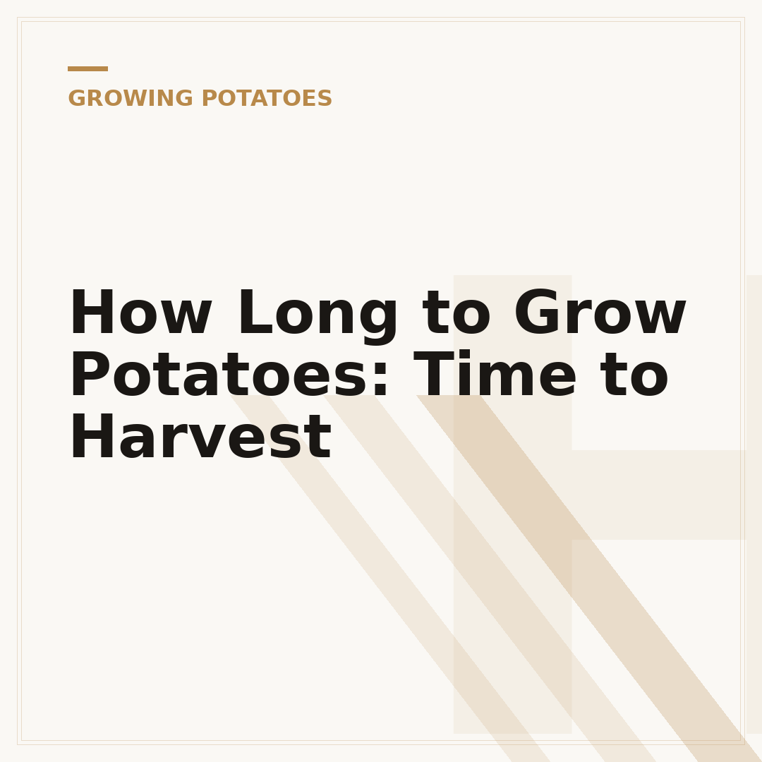 How Long to Grow Potatoes: Time to Harvest