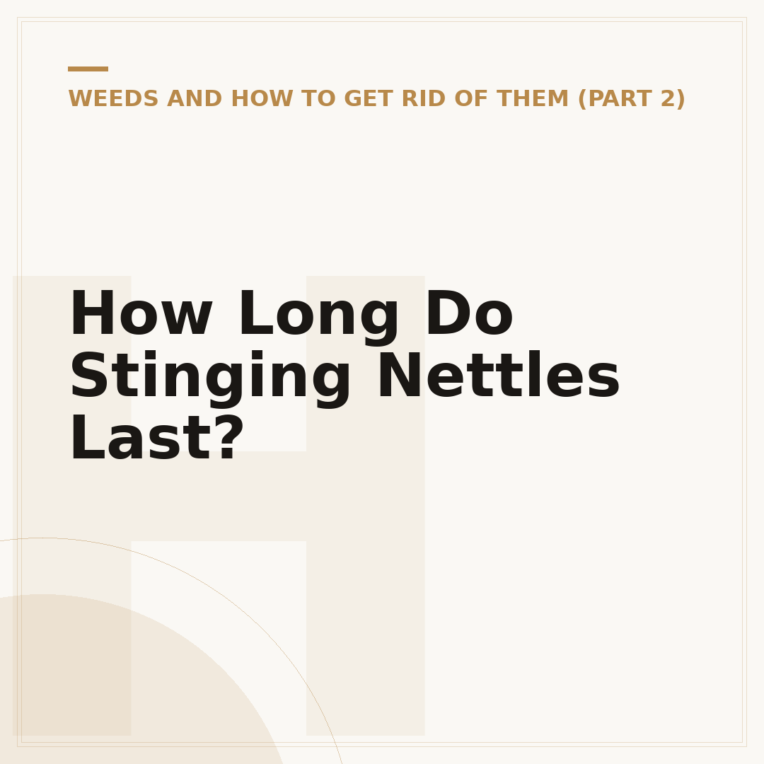 How Long Do Stinging Nettles Last?