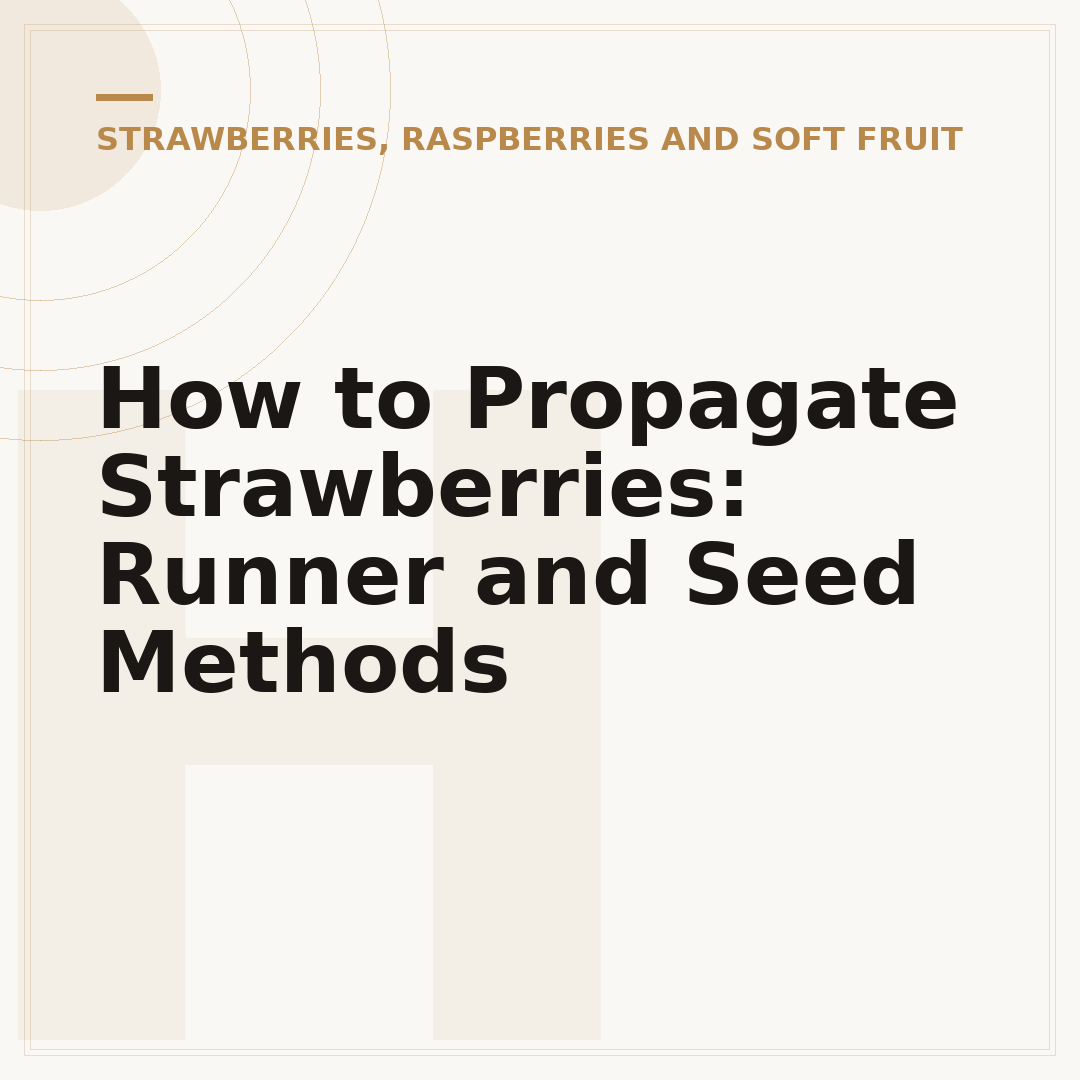 How to Propagate Strawberries: Runner and Seed Methods