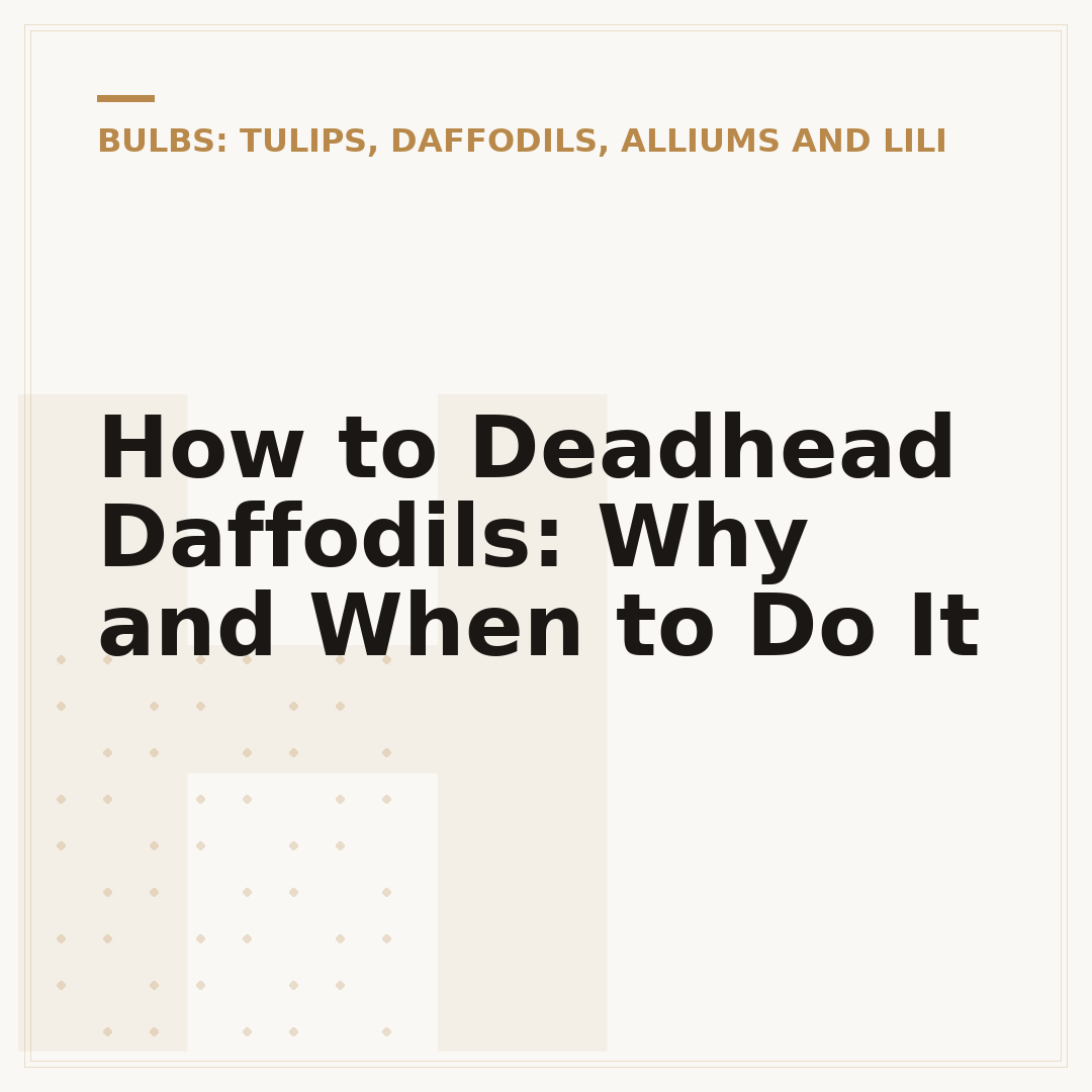 How to Deadhead Daffodils: Why and When to Do It