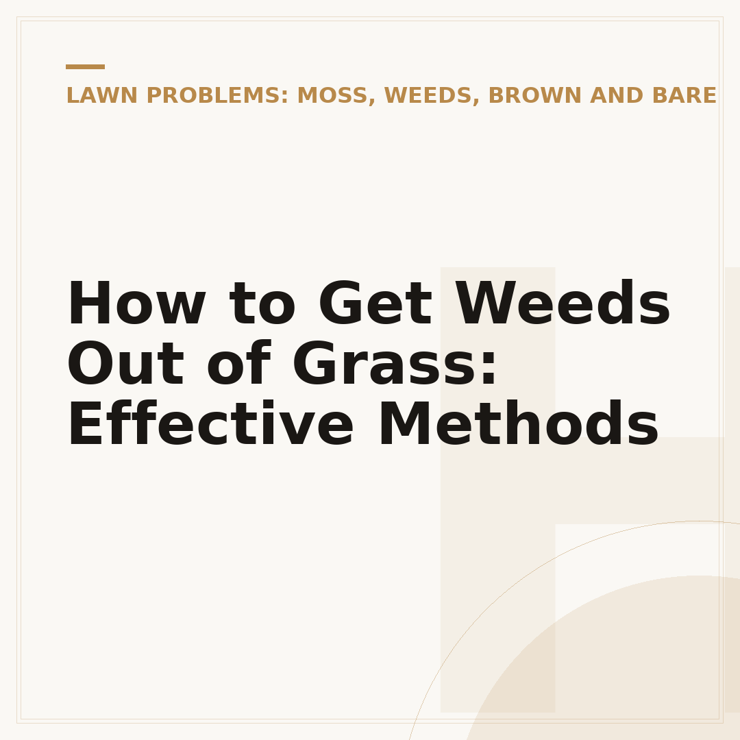 How to Get Weeds Out of Grass: Effective Methods