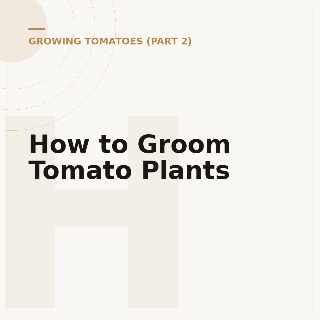How to Groom Tomato Plants