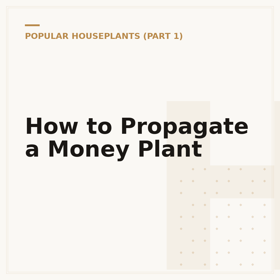 How to Propagate a Money Plant