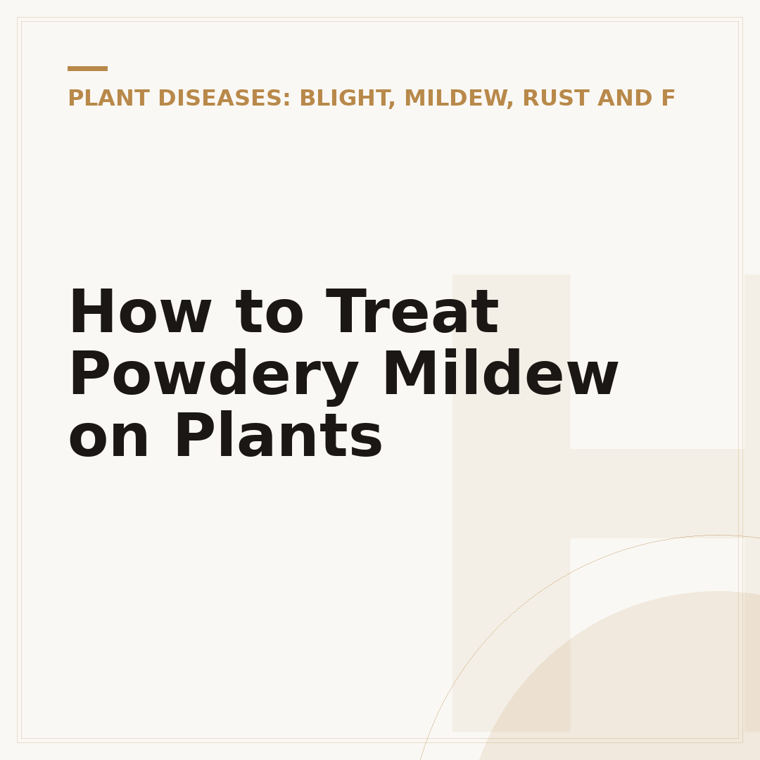 How to Treat Powdery Mildew on Plants